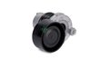 Intinzator curea distributie INA 534 0590 10
