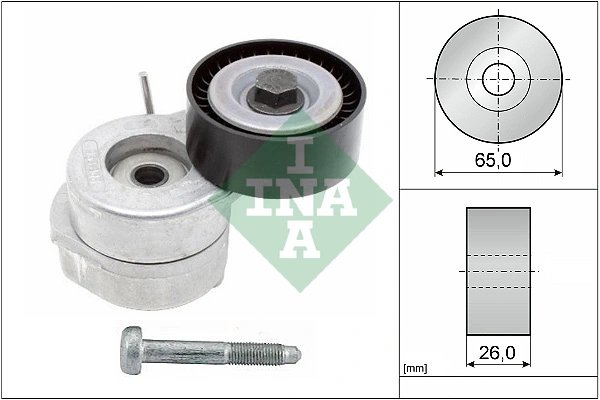 Intinzator curea distributie INA 534 0607 10