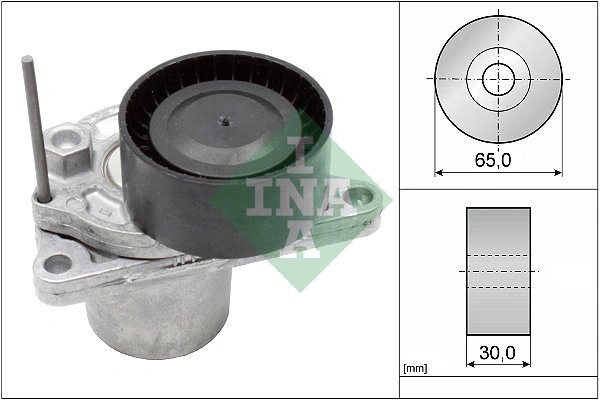 INTINZATOR CUREA DISTRIBUTIE INA 534 0624 10 - Compatibil cu FIAT, MERCEDES-BENZ, NISSAN, OPEL, RENAULT, VAUXHALL