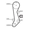 Curea distributie Gates 5358XS