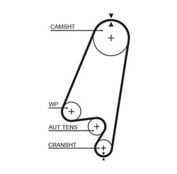 Curea distributie Gates 5367XS