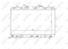 Radiator racire motor NRF 53819