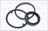 Set garnituri carter Ajusa 54155100