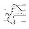 Curea distributie Gates 5484XS