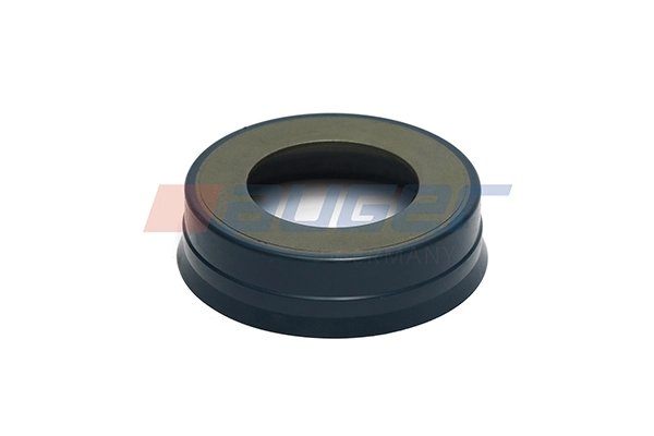 INEL ETANSARE, ARTICULATIE AX AUGER 54863 - Compatibil cu RENAULT TRUCKS