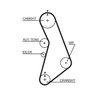Curea distributie Gates 5491XS