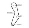 Curea distributie Gates 5503XS
