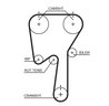 Curea distributie Gates 5509XS