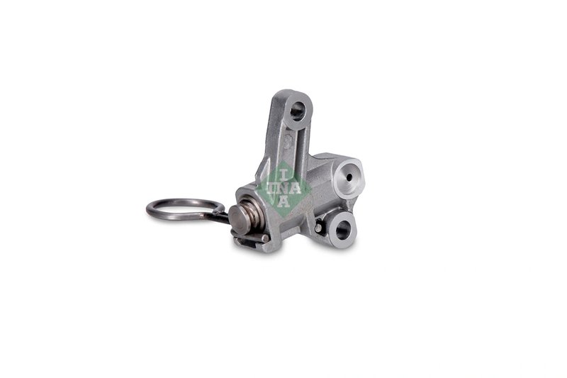 Intinzator lant distributie INA 551 0165 10