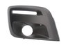 GRILA VENTILATIE, BARA PROTECTIE BLIC 5513-00-0554998P - Compatibil cu CITROEN, PEUGEOT