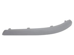 BANDA DE PROTECTIE, BARA DE PROTECTIE BLIC 5513-00-2533979P - Compatibil cu FORD
