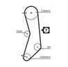 Curea distributie Gates 5544XS