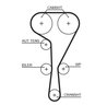 Curea distributie Gates 5550XS