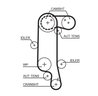 Curea distributie Gates 5565XS