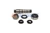 SET REPARATIE PIVOT AUGER 55711 - Compatibil cu RENAULT TRUCKS, VOLVO