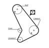 CUREA DISTRIBUTIE GATES 5571XS - Compatibil cu FORD, METROCAB