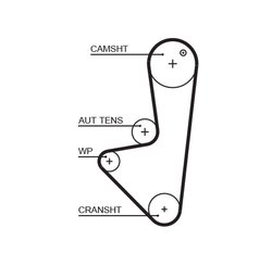 Curea distributie Gates 5574XS