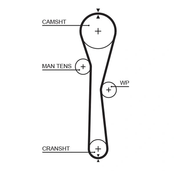 Curea distributie Gates 5577XS