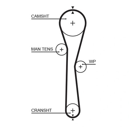 Curea distributie Gates 5577XS