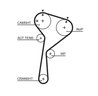 Curea distributie Gates 5578XS