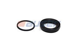 SET REPARATIE ETRIER AUGER 55815 - Piesa auto compatibila cu mai multe marci