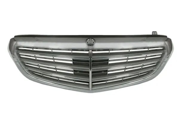 Grila radiator BLIC 5601-00-3529992Q