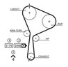 CUREA DISTRIBUTIE GATES 5610XS - Compatibil cu NISSAN, RENAULT, SUZUKI