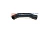 Furtun radiator Auger 56447