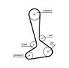 Curea distributie Gates 5645XS