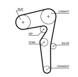 CUREA DISTRIBUTIE GATES 5646XS - Compatibil cu ALFA ROMEO, CHRYSLER, FIAT, JEEP, LANCIA, OPEL, SUZUKI, VAUXHALL