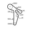 CUREA DISTRIBUTIE GATES 5648XS - Compatibil cu AUDI, SEAT, SKODA, VW