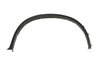 Elemente decorative/protectie, aripa BLIC 5703-04-0099422P
