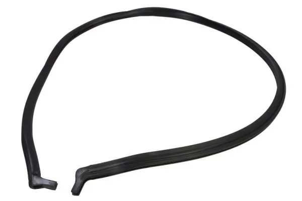 Garnitura, parbriz BLIC 5703-04-5526101P