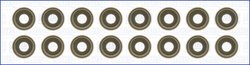 Set garnituri ax supape Ajusa 57052600