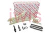Set distributie lant iwis Motorsysteme 59131Set