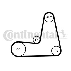 SET CUREA TRANSMISIE CU CANELURI CONTINENTAL 5PK1110K1 - Compatibil cu DACIA, NISSAN, RENAULT