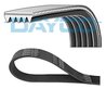 CUREA TRANSMISIE DAYCO 5PK1225 - Compatibil cu PEUGEOT, SUZUKI, TOYOTA