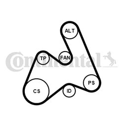 Set curea transmisie cu caneluri CONTINENTAL 5PK1592K1