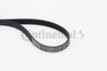 Curea transmisie CONTINENTAL 5PK868 ELAST
