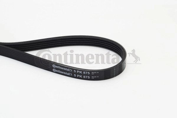 Curea transmisie CONTINENTAL 5PK875