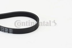 Curea transmisie CONTINENTAL 5PK884