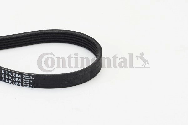 Curea transmisie CONTINENTAL 5PK884