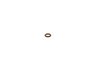 Inel cauciuc BOSCH 6 002 ER1 003