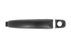 Manerul exterior al usii BLIC 6010-01-056401P