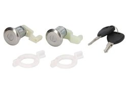CILINDRU INCHIDERE BLIC 6010-09-030427PP - Compatibil cu RENAULT