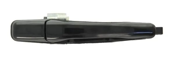 Manerul exterior al usii BLIC 6010-15-038404P