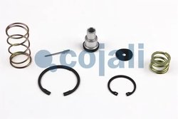 Set reparatie, Supapa releu Cojali 6012112