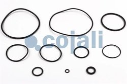 Set reparatie, Supapa releu Cojali 6012112