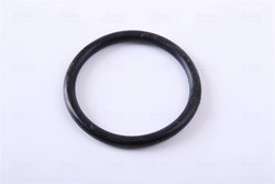 RADIATOR RACIRE MOTOR NISSENS 606047 - Compatibil cu OPEL, VAUXHALL