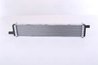 Radiator racire motor Nissens 606792
